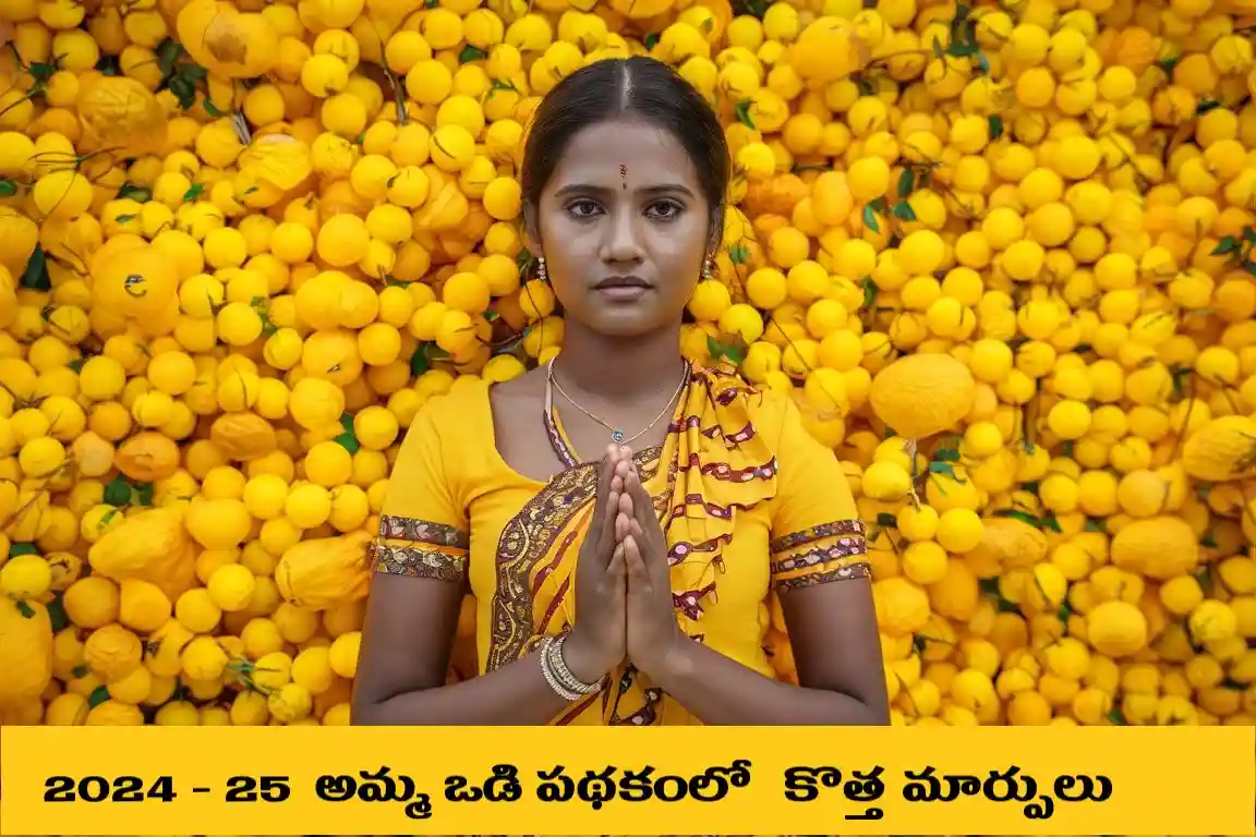 2024 లో  అమ్మ ఒడి పథకంలో చేసిన కొత్త మార్పులు ఇవే. Telugu Needs