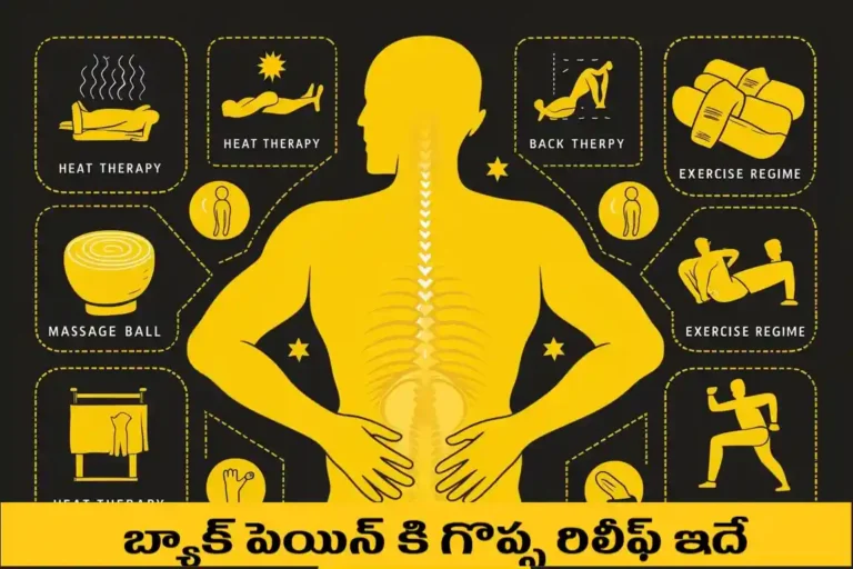 బ్యాక్ పెయిన్ ఎందుకు వస్తుంది ? తగ్గాలంటే ఏం చేయాలి ? Telugu Needs