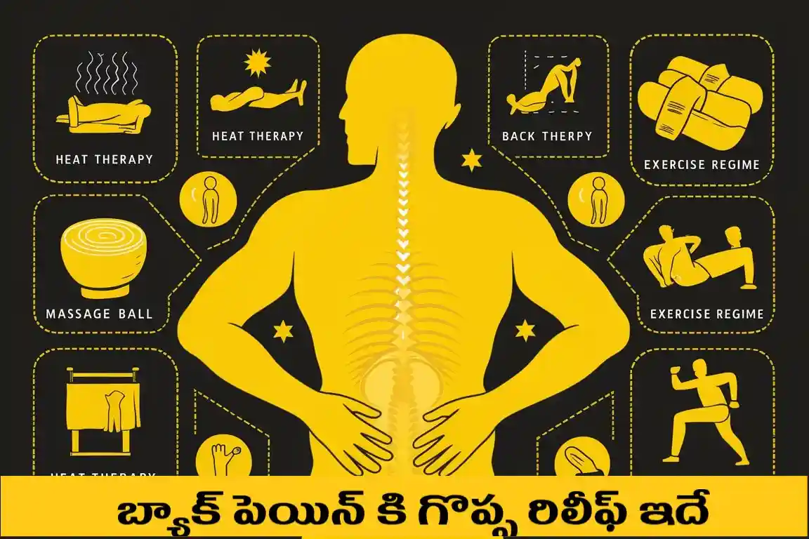 బ్యాక్ పెయిన్ ఎందుకు వస్తుంది ? తగ్గాలంటే ఏం చేయాలి ? Telugu Needs