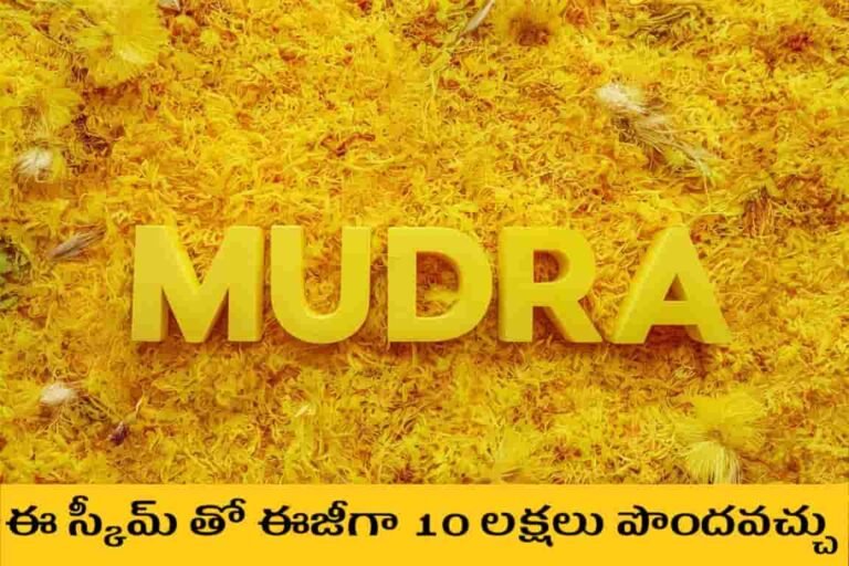 10 లక్షలు వరకూ ముద్ర లోన్ ఎలా తీసుకోవాలి Telugu Needs