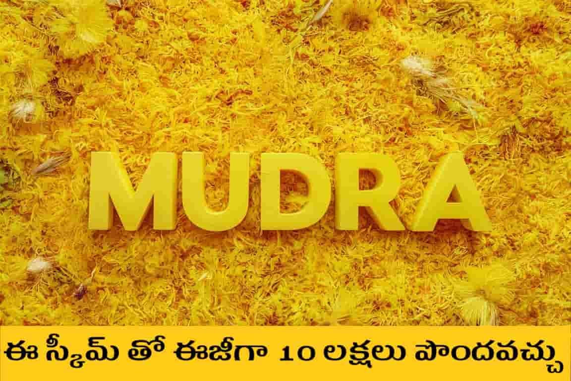 10 లక్షలు వరకూ ముద్ర లోన్ ఎలా తీసుకోవాలి Telugu Needs